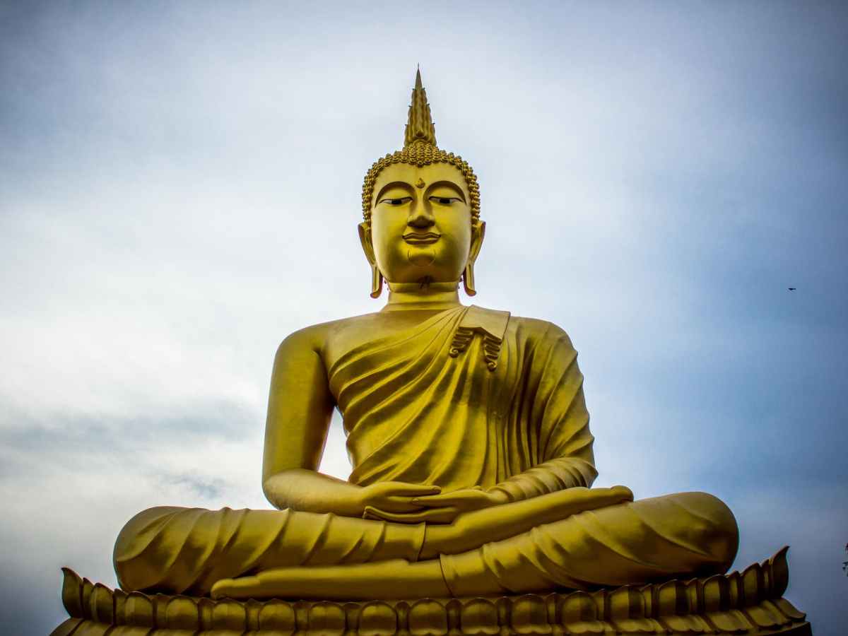 A brief dive into Buddhism, modern psychology and the human mind